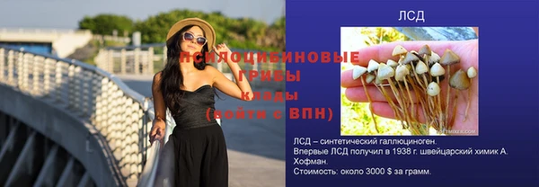 гашиш Надым