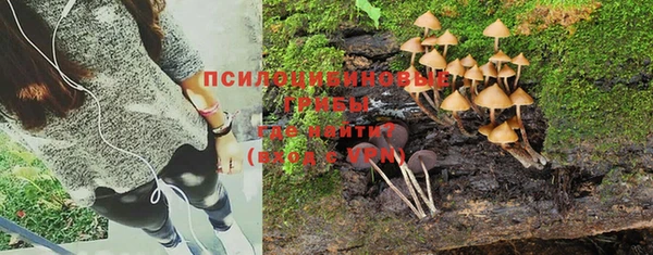 гашиш Надым